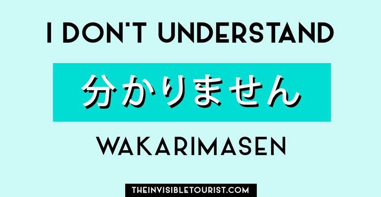 How to day I don't understand in Japanese