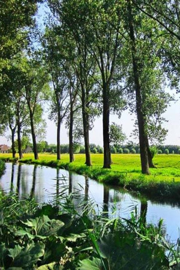The Perfect Day Trip from Bruges: Damme, Belgium | The Invisible Tourist