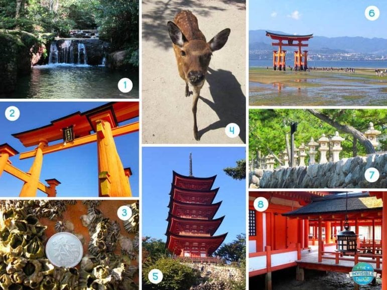 Miyajima Day Trip Highlights