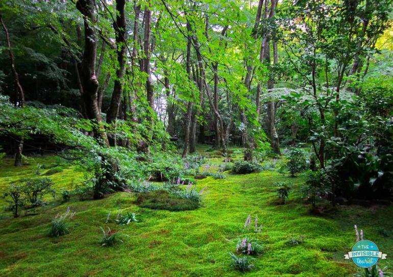 Kyoto hidden gems: Gio-ji moss gardens