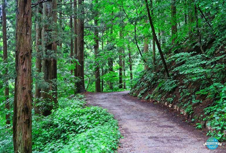 Waling trail from Nagano to snow monkeys