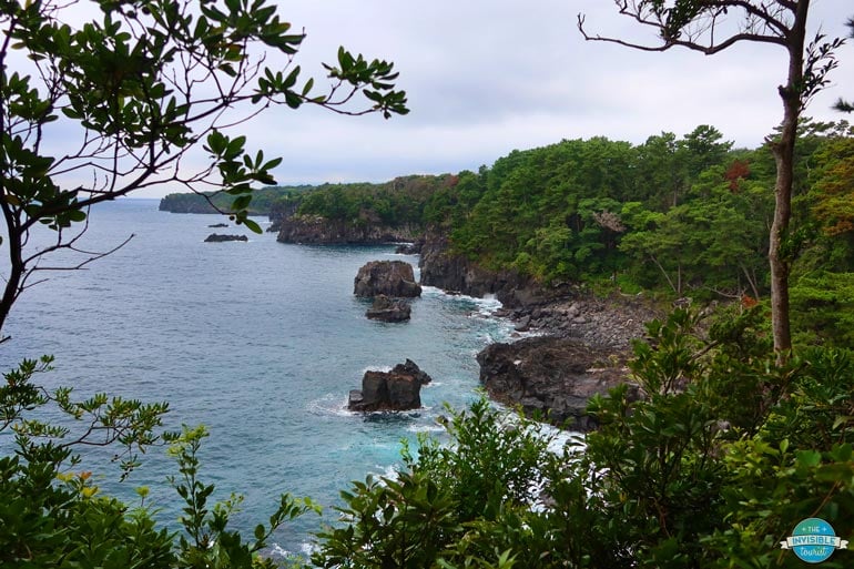 Jogasaki Coast, Izu Peninsula Japan