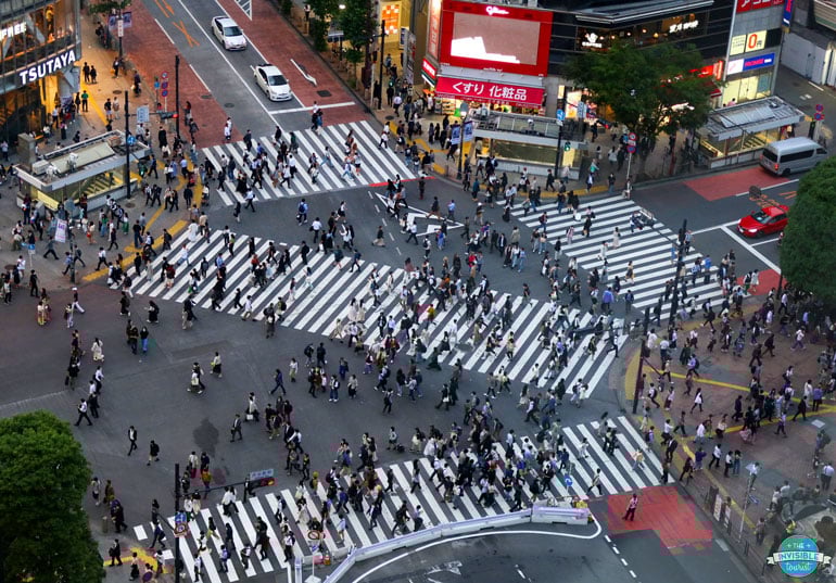 Shibuya Crossing from Shibuya Excel Tokyu Hotel, Tokyo
