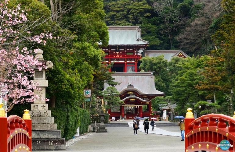 Tsurugaoka Hachimangu Shrine, Kamakura