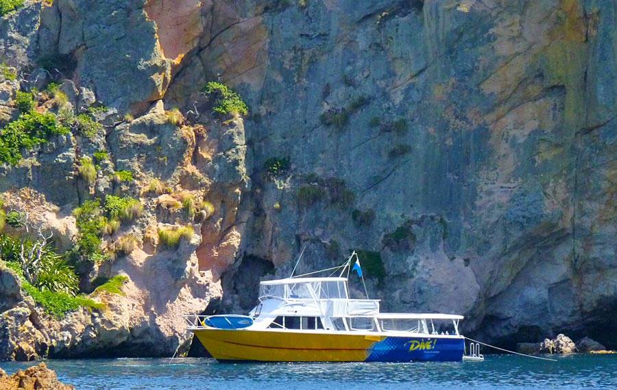 Poor Knights Marine Reserve