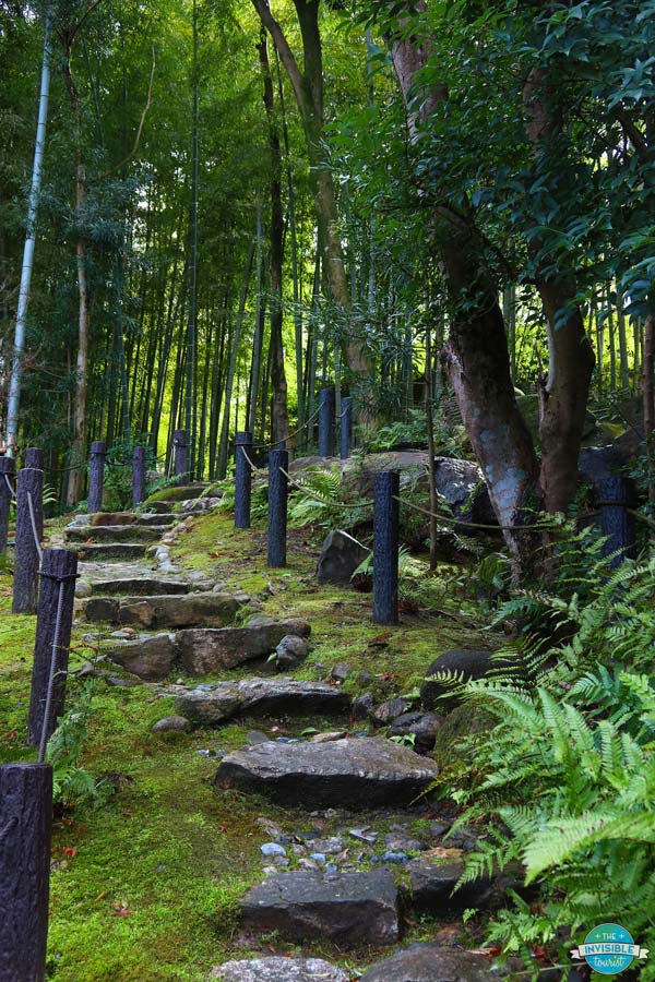 Hidden bamboo grove at Yugayama Enchi Old House Gardens